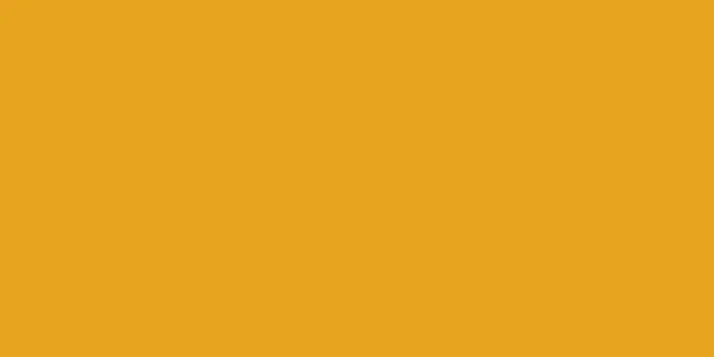 yellow background 1000x500 namsa